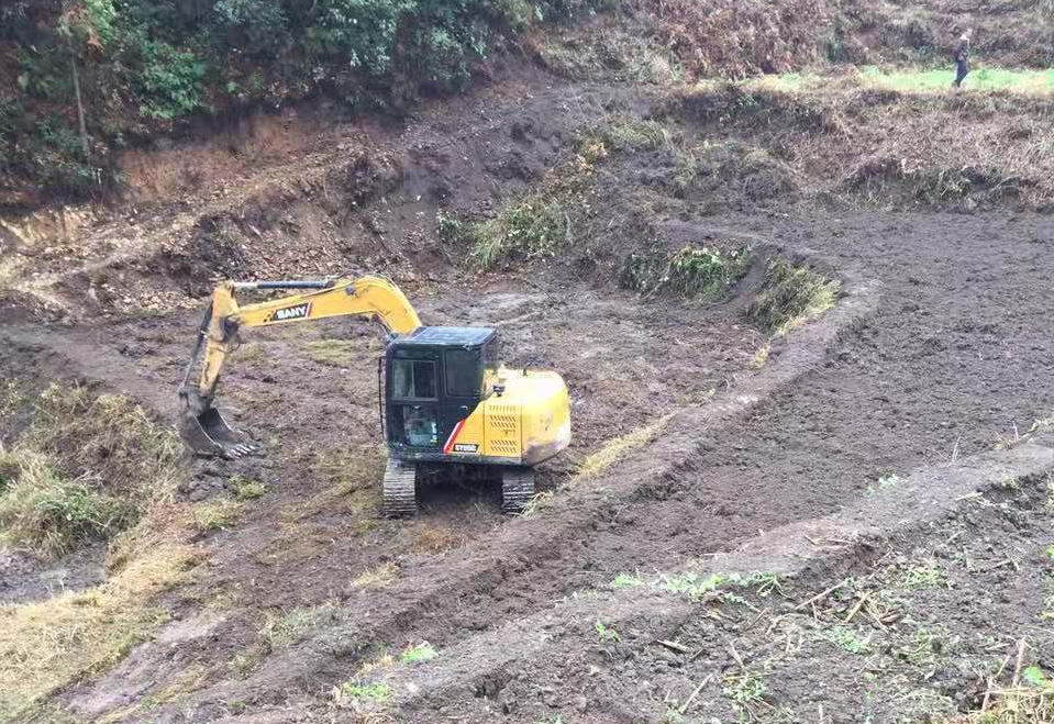 致富种植水田项目有哪些_种植水田国家补助多少_水田种植致富项目