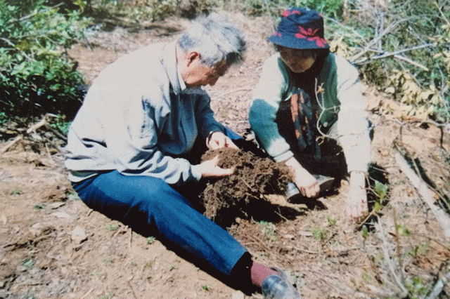 致富安居能种植人参吗_种植致富经_安居种植致富能人