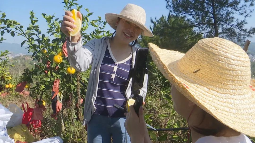 柚子的种植技术视频_视频致富柚子种植大全下载_致富柚子种植视频大全