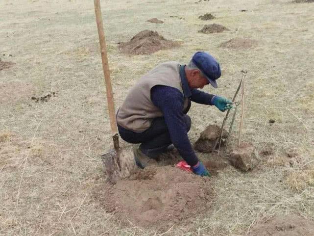 致富经山鼠养殖_老鼠养殖视频致富经_山老鼠养殖视频致富经