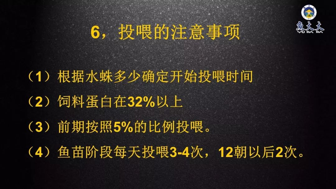 致富鲤养东江有什么鱼_致富经有东江养鲤场吗_致富经鲤鱼