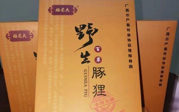 山老鼠养殖视频致富经_人工养殖山老鼠_老鼠养殖场视频