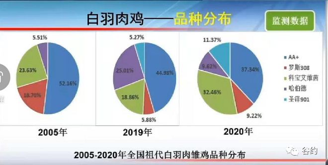 中央7套致富经 养鸭_中央7套致富经养鹅_中央7套致富经养羊