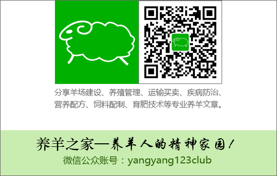 种植牧草养殖_养羊牧草种植技术_种植牧草养羊技术要点