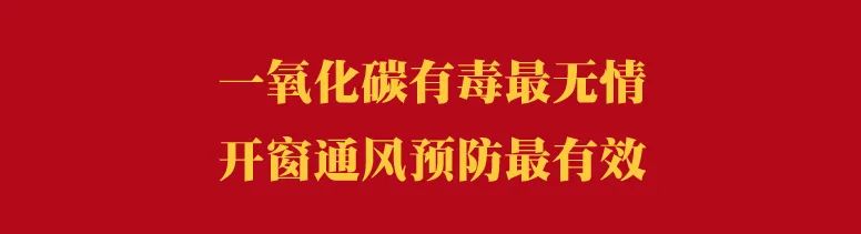 200只大雁养殖成本_大雁养殖真实利润_农村养殖致富雁