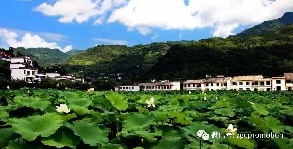 借鉴优质村庄规划经验_优秀村庄规划案例_村庄借鉴优质规划经验做法