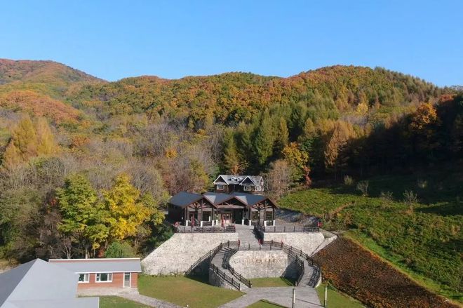 荒山种植榛子致富_榛子种植前景堪忧_榛子种植前景怎么样