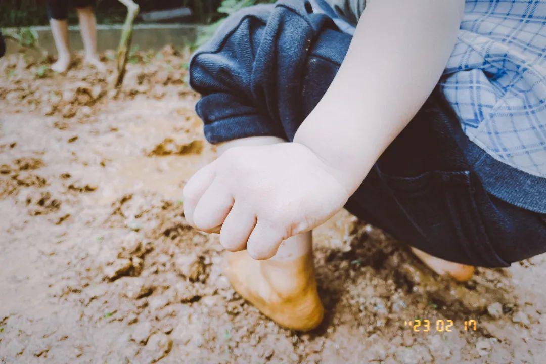 幼儿园办园条件优质_幼儿园办园经验分享_幼儿园优质办学经验