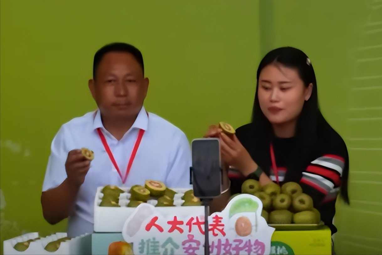 致富种植猕猴桃视频_种植猕猴桃致富_致富种植猕猴桃图片