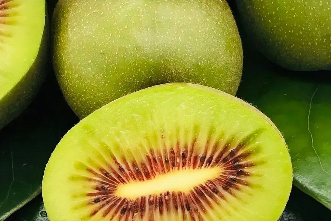 致富种植猕猴桃视频_种植猕猴桃致富_致富种植猕猴桃图片