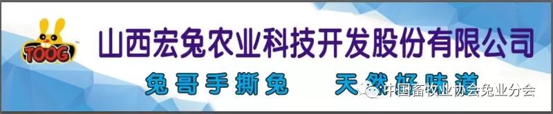 视频养殖兔子技术教程_兔子的视频养殖技术_视频养殖兔子技术视频教程