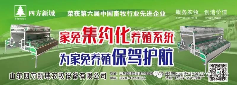 视频养殖兔子技术视频教程_视频养殖兔子技术教程_兔子的视频养殖技术