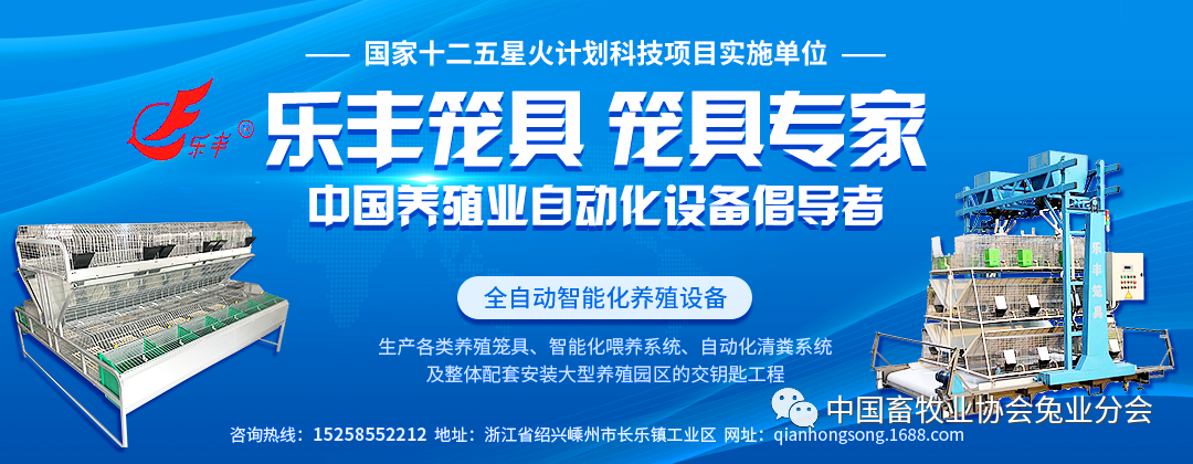 视频养殖兔子技术视频教程_兔子的视频养殖技术_视频养殖兔子技术教程