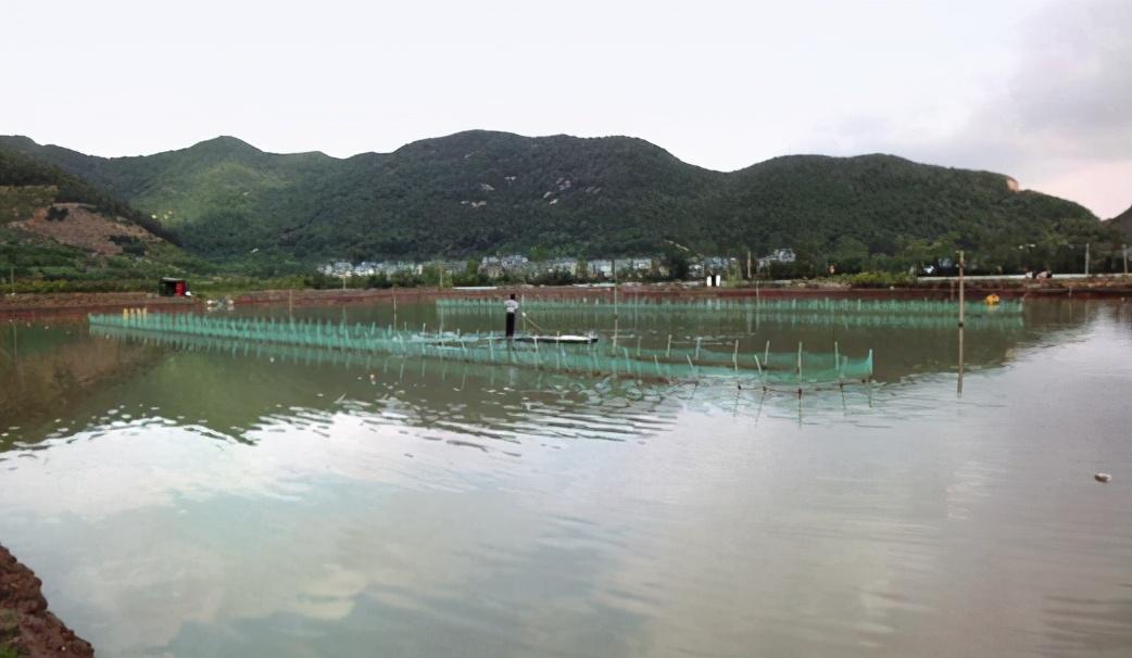 海水养殖致富_海水养殖模式_海水养殖前景