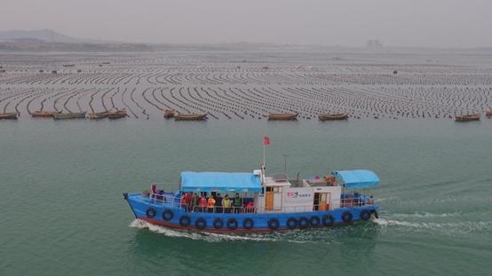 海水养殖模式_海水养殖致富_海水养殖前景