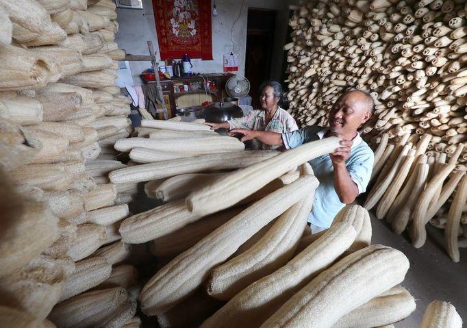 农村用的丝瓜瓤还有其他用法？农民种一万亩，带村民走上致富道路