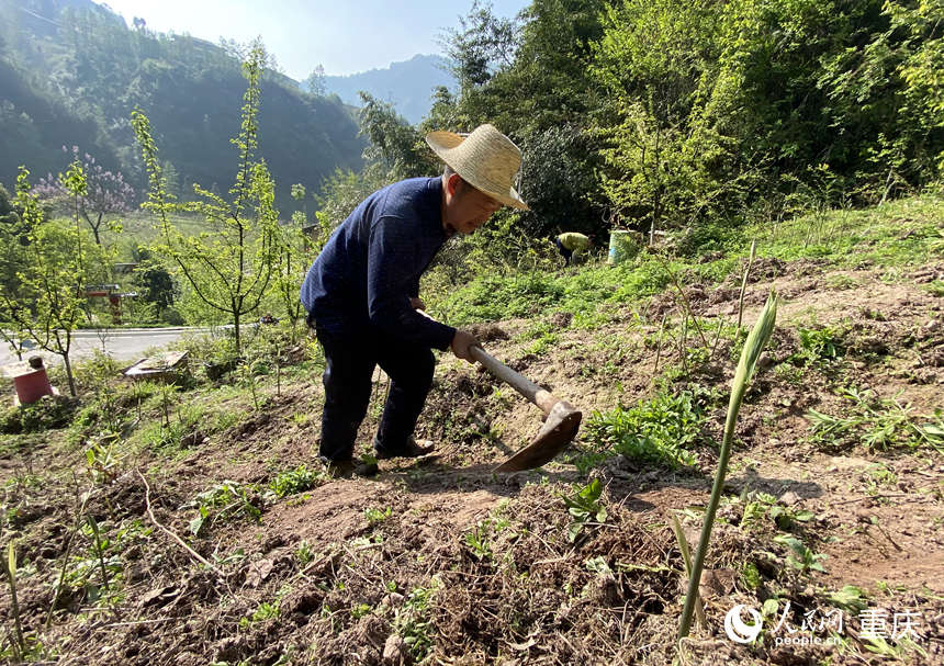 养殖致富之路_农村致富项目养殖业_家乡养殖致富工程