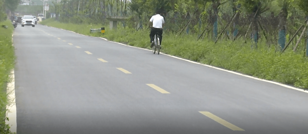 黄鳝致富经_养殖黄鳝致富之路_致富经黄鳝养殖视频