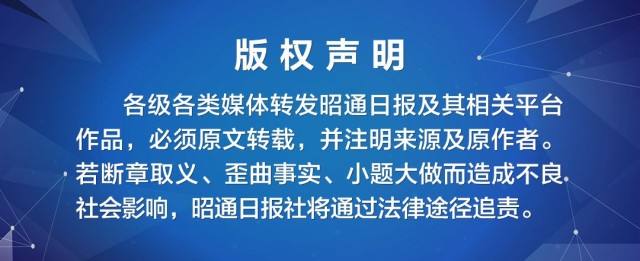 致富养殖斑鸠图片_致富经之斑鸠养殖_养殖斑鸠利润空间多大