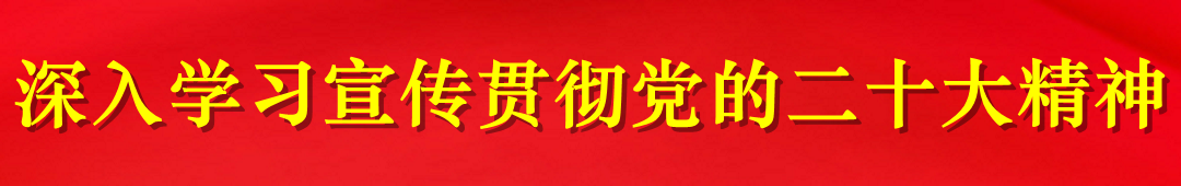 展我双飞翼   聚智绘宏图——写在2023·桐城双港第三届龙虾文化旅游节暨软包装