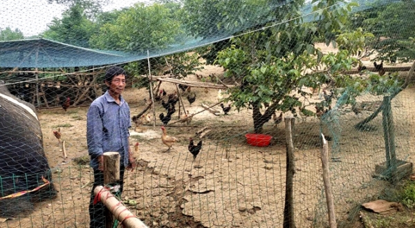 湖北女人养殖致富_湖北农村养殖好项目_致富养殖湖北女人视频