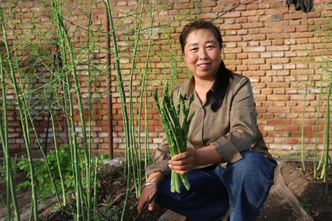 种葡萄的大棚_种植藤引葡萄大棚致富_种葡萄大棚挣钱吗