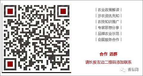 农村致富项目养殖业_致富农村养殖种植_致富项目农村养殖致富项目