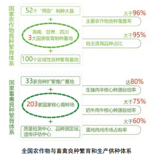 农业现代化辉煌五年系列宣传之八：发展现代种业 做强农业“芯片”