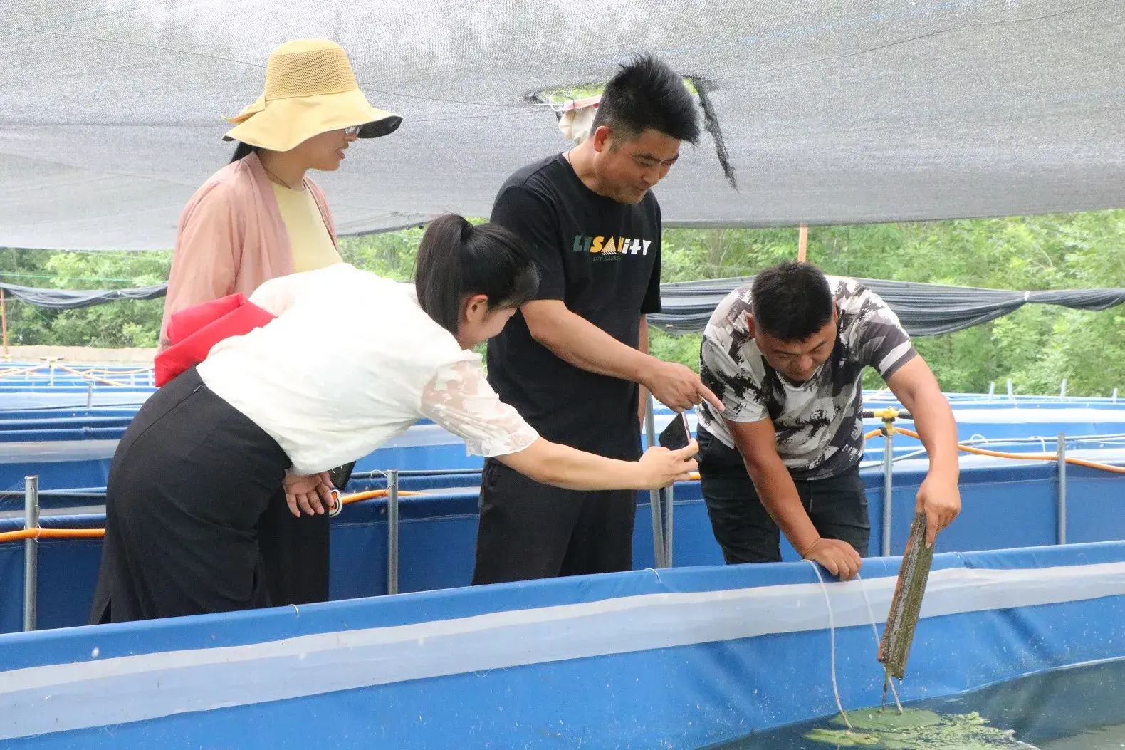 致富经水箱养鱼_水箱养殖什么致富_水箱养殖技术