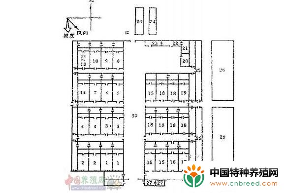 梅花鹿养殖场究竟要怎么搭建（图片）？