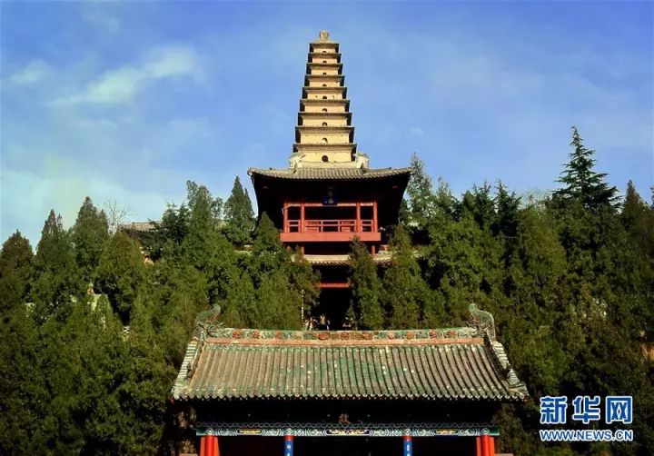 芦笋种植骗局致富_种植芦笋前景如何_农广天地芦笋种植技术