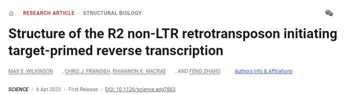 张锋团队再发Science：又一种新的基因编辑工具要来了？