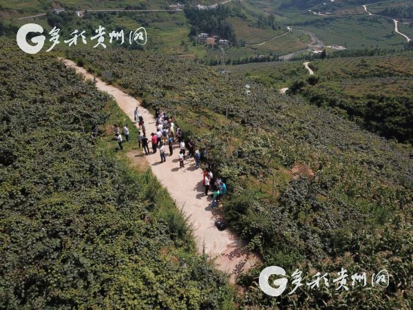 文\图 多彩贵州网记者 胡绍山