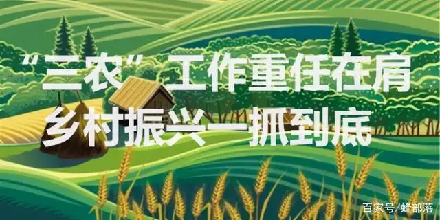 在农村，养殖这9种鱼，周期短利润高，管理好赚60万不难，值得干