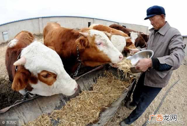 农业养殖致富项目有哪些？未来几年的适合年轻