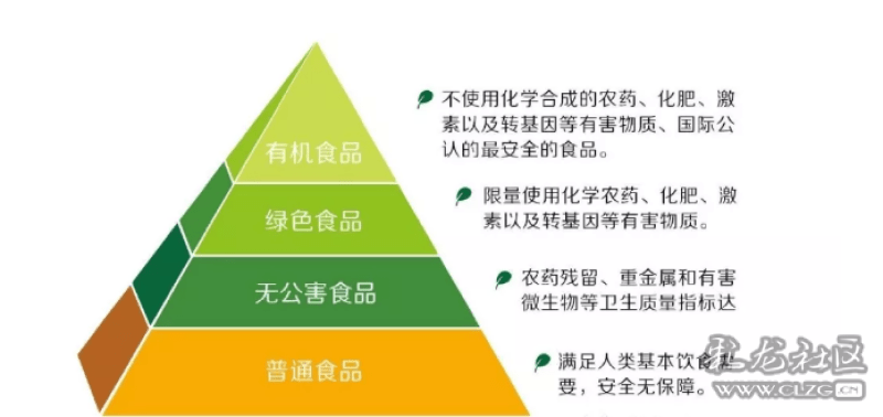 鲫鱼养殖视频致富经_视频养殖鲫鱼技术方法_养殖鲫鱼技术视频