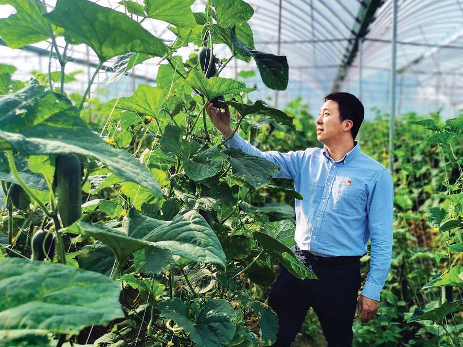 致富楼顶种植什么好_楼顶种植什么赚钱_楼顶种植致富