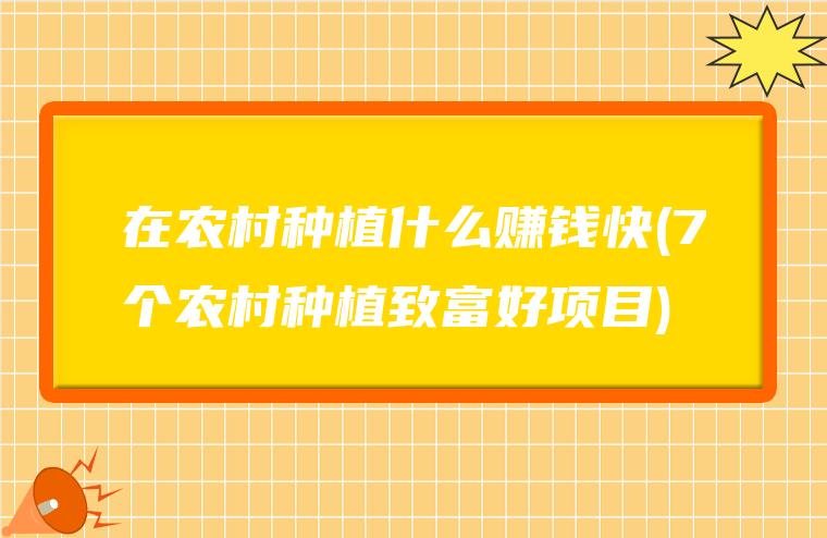 在农村种植什么赚钱快(7个农村种植致富好项目)