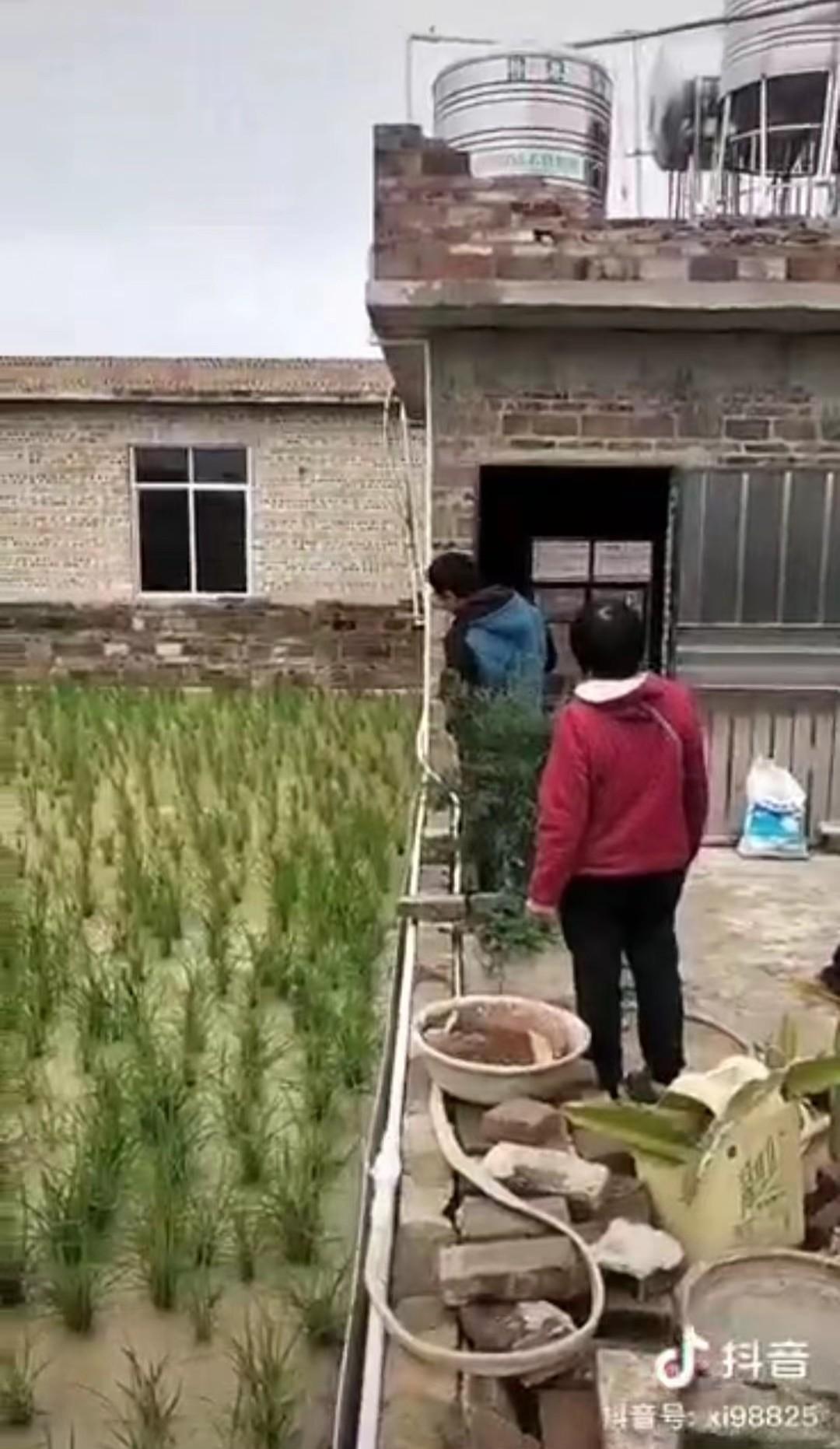 楼顶种植视频_致富楼顶种植什么好_楼顶种植致富