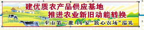 同兴号：种植茶树菇年入千万元