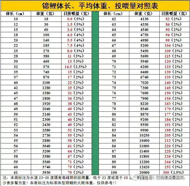 致富养殖锦鲤怎么样_致富经锦鲤鱼养殖视频_锦鲤养殖 致富经