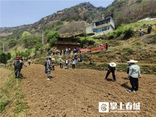 致富种植旱地项目有哪些_旱地种植致富项目_致富种植旱地项目介绍