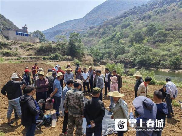 致富种植旱地项目介绍_旱地种植致富项目_致富种植旱地项目有哪些