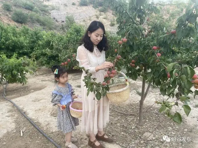 致富果树种植方法_种植果树致富快_果树种植致富经