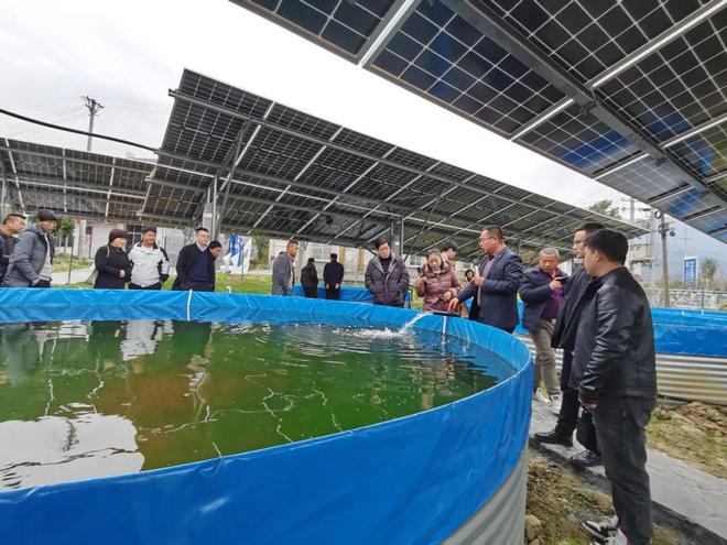 致富养殖水产思路总结_水产养殖致富思路_水产养殖致富项目