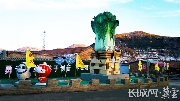 农村旱地种植什么最赚钱_旱地种植致富项目_致富种植旱地项目有哪些