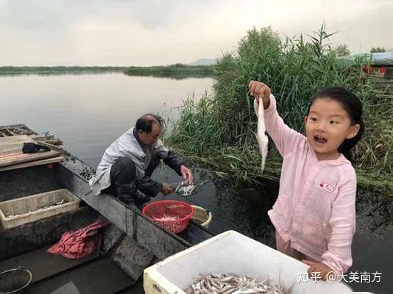 农村美女养殖致富_致富经美女养牛_致富养殖美女农村小说