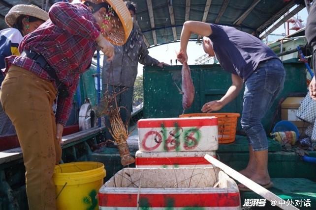 致富养殖水产思路及措施_水产养殖致富思路_致富养殖水产思路怎么写