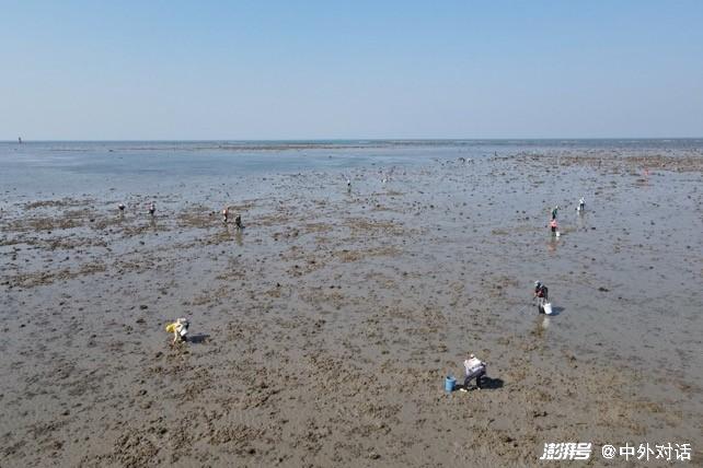 致富养殖水产思路及措施_水产养殖致富思路_致富养殖水产思路怎么写