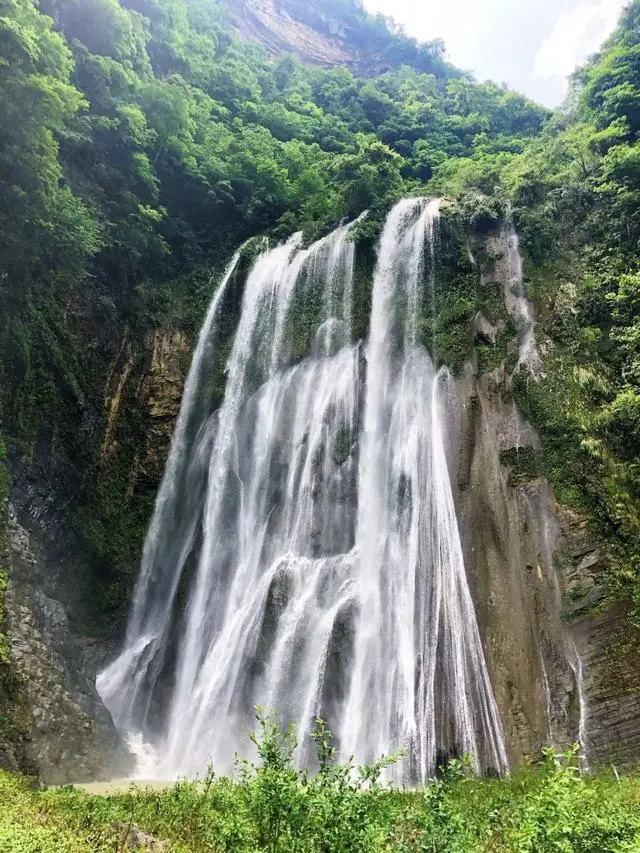 地里养鸡致富经_养鸡致富经_致富项目养鸡